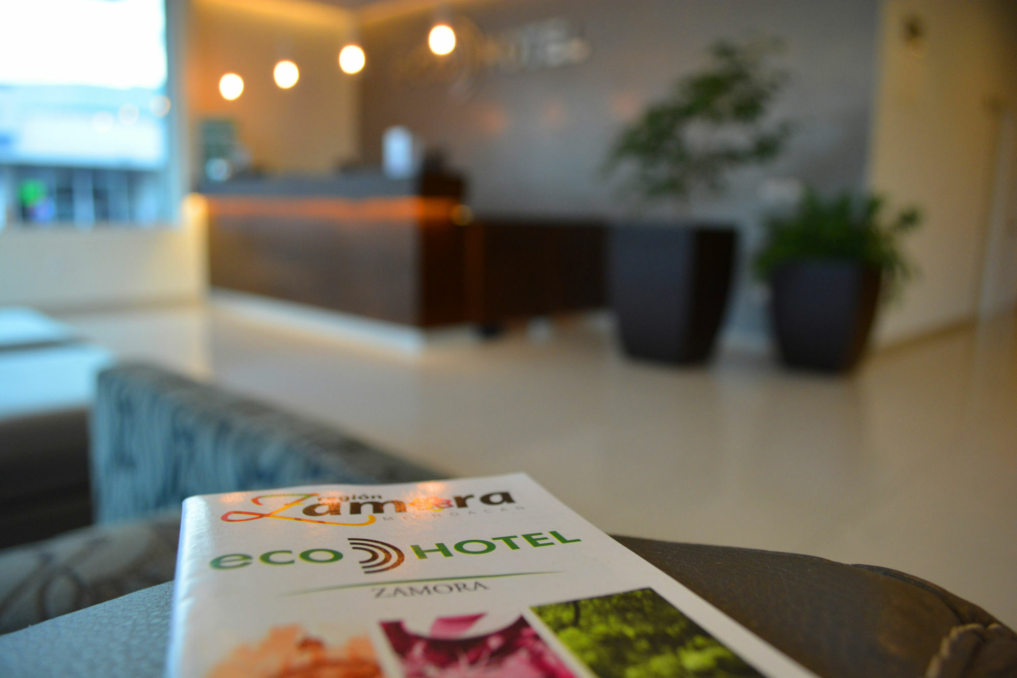 Eco Express Hotel Zamora Zamora de Hidalgo Zewnętrze zdjęcie